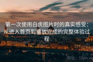 第一次使用白虎图片时的真实感受：从进入首页到播放完成的完整体验过程