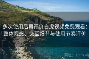 多次使用后再评价白虎视频免费观看：整体观感、交互细节与使用节奏评价