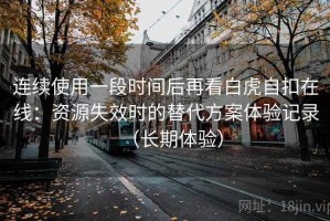 连续使用一段时间后再看白虎自扣在线：资源失效时的替代方案体验记录（长期体验）