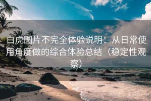 白虎图片不完全体验说明：从日常使用角度做的综合体验总结（稳定性观察）