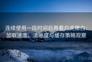 连续使用一段时间后再看白虎嫩白：加载速度、清晰度与缓存策略观察