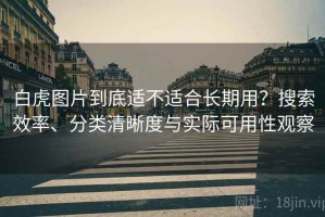 白虎图片到底适不适合长期用？搜索效率、分类清晰度与实际可用性观察