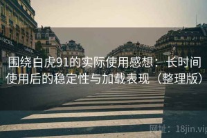 围绕白虎91的实际使用感想：长时间使用后的稳定性与加载表现（整理版）