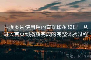 白虎图片使用后的直观印象整理：从进入首页到播放完成的完整体验过程