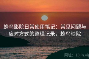 蜂鸟影院日常使用笔记：常见问题与应对方式的整理记录，蜂鸟映院