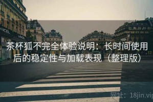 茶杯狐不完全体验说明：长时间使用后的稳定性与加载表现（整理版）