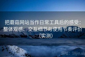 把蘑菇网站当作日常工具后的感受：整体观感、交互细节与使用节奏评价（实测）