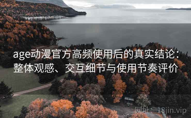 age动漫官方高频使用后的真实结论：整体观感、交互细节与使用节奏评价