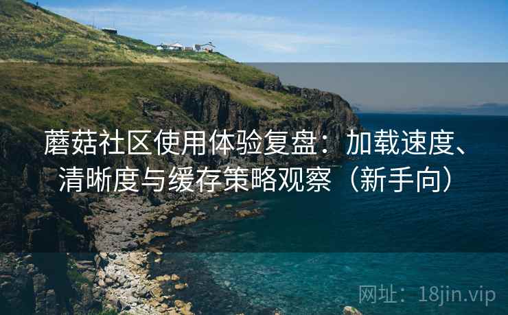 蘑菇社区使用体验复盘:加载速度、清晰度与缓存策略观察(新手向) 蘑菇社区使用体验复盘:加载速度、清晰度与缓存策略观察(新手向)