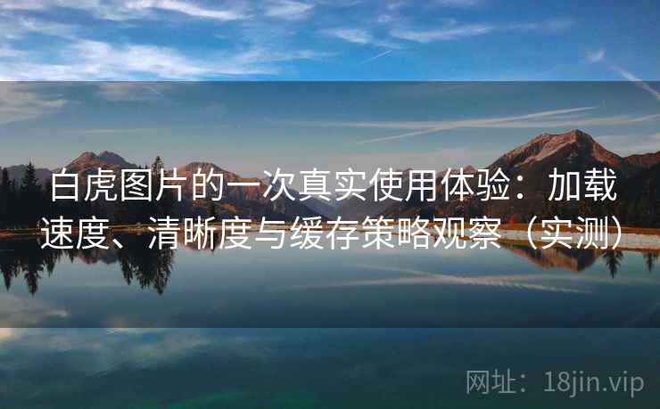 白虎图片的一次真实使用体验:加载速度、清晰度与缓存策略观察(实测) 白虎图片的一次真实使用体验:加载速度、清晰度与缓存策略观察(实测)