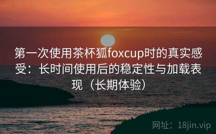 第一次使用茶杯狐foxcup时的真实感受：长时间使用后的稳定性与加载表现（长期体验）