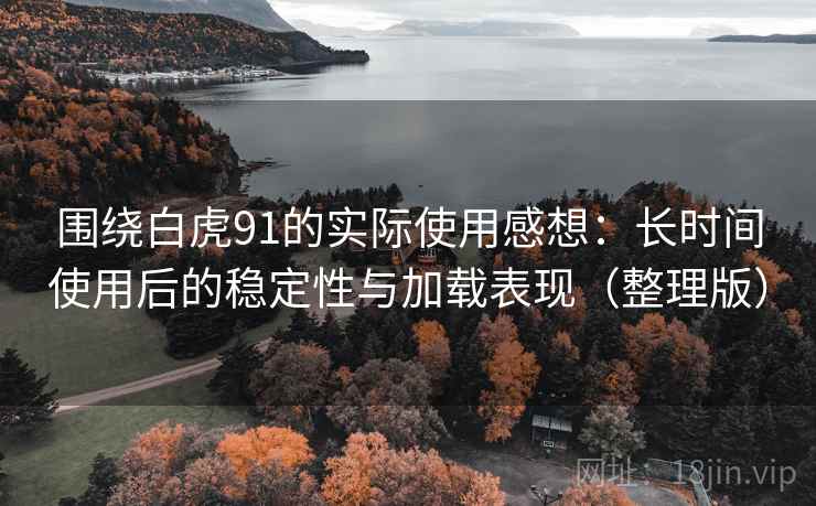 围绕白虎91的实际使用感想:长时间使用后的稳定性与加载表现(整理版) 围绕白虎91的实际使用感想:长时间使用后的稳定性与加载表现(整理版)