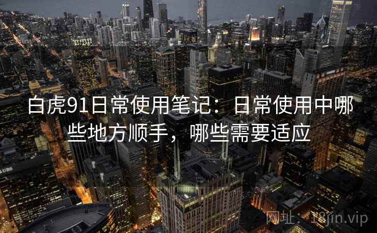白虎91日常使用笔记：日常使用中哪些地方顺手，哪些需要适应
