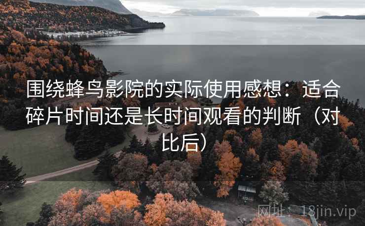 围绕蜂鸟影院的实际使用感想：适合碎片时间还是长时间观看的判断（对比后）