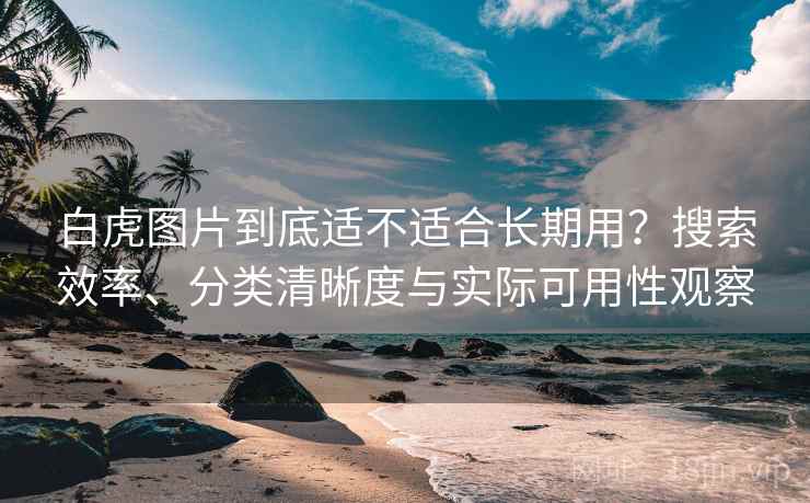 白虎图片到底适不适合长期用？搜索效率、分类清晰度与实际可用性观察