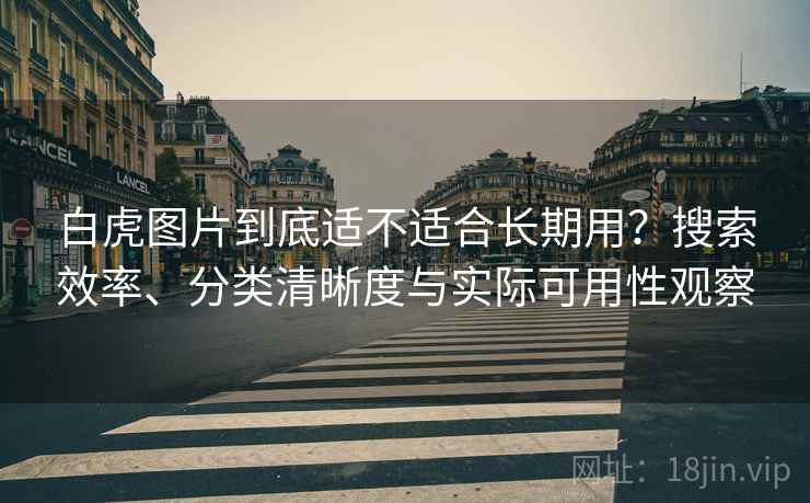 白虎图片到底适不适合长期用？搜索效率、分类清晰度与实际可用性观察