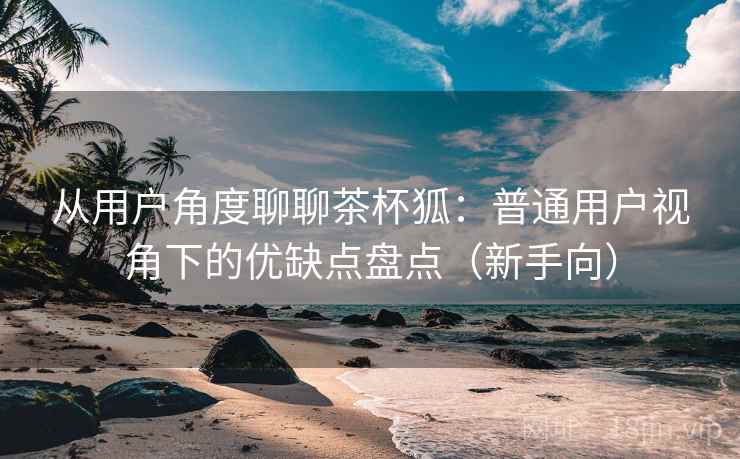 从用户角度聊聊茶杯狐：普通用户视角下的优缺点盘点（新手向）