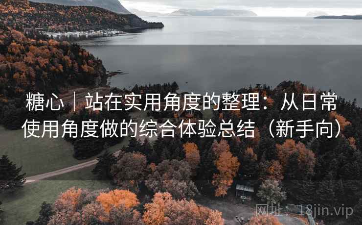糖心｜站在实用角度的整理：从日常使用角度做的综合体验总结（新手向）