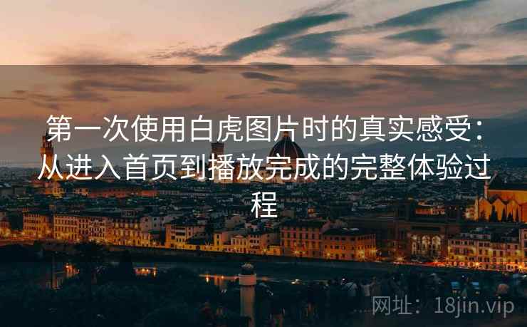 第一次使用白虎图片时的真实感受：从进入首页到播放完成的完整体验过程