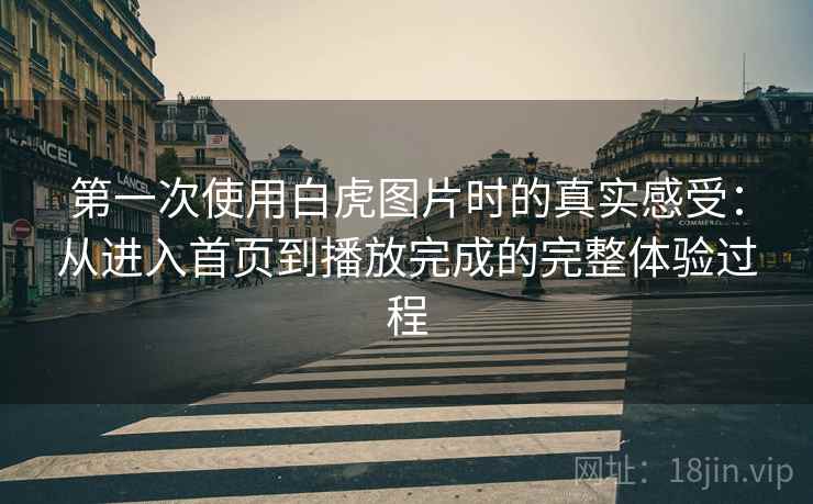 第一次使用白虎图片时的真实感受：从进入首页到播放完成的完整体验过程